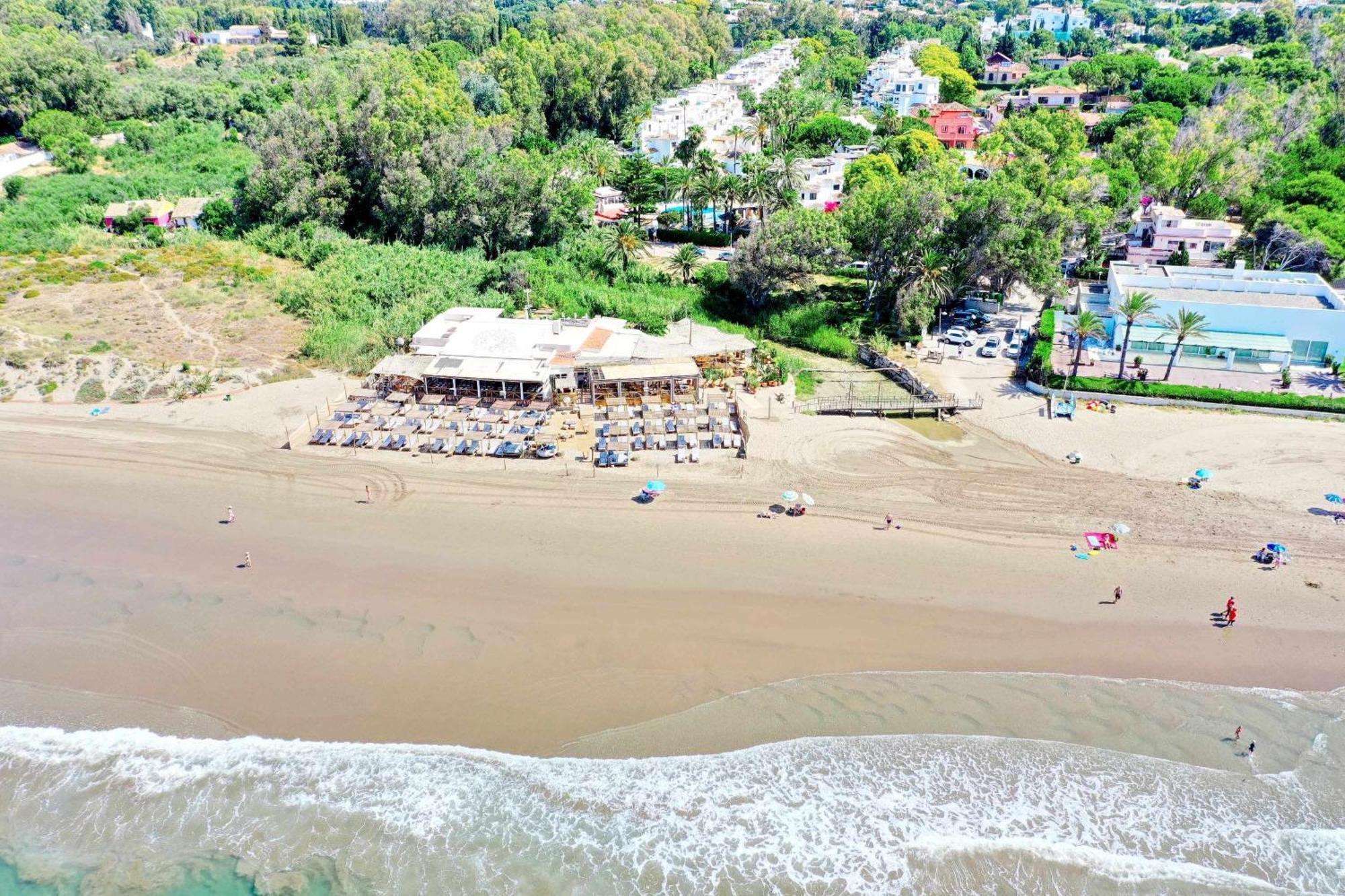 1081 Beachfront Penthouse Jacuzzi Roofterace Lounge Wifi