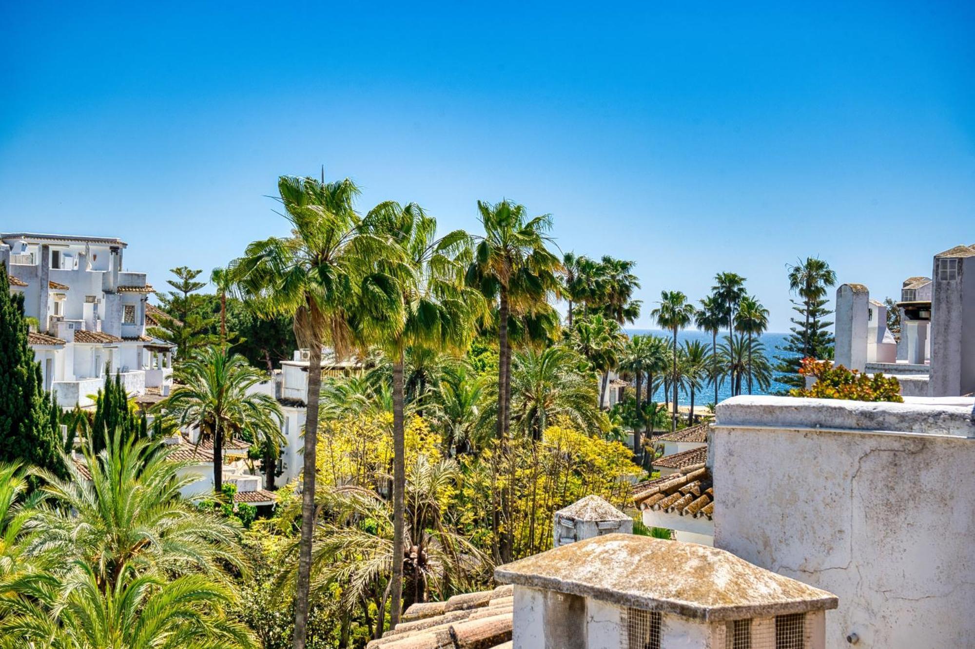 1081 Beachfront Penthouse Jacuzzi Roofterace Lounge Wifi Apartment
